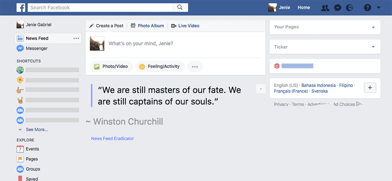 Newsfeed Eradicator