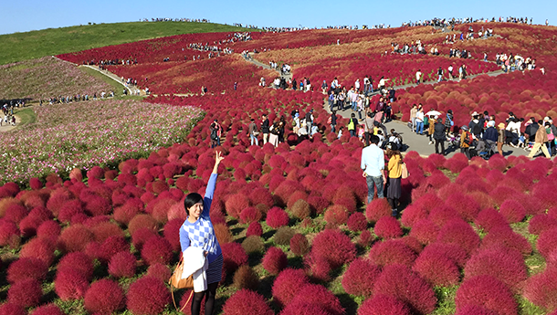 FoG_gengons-Thuy_extra_02